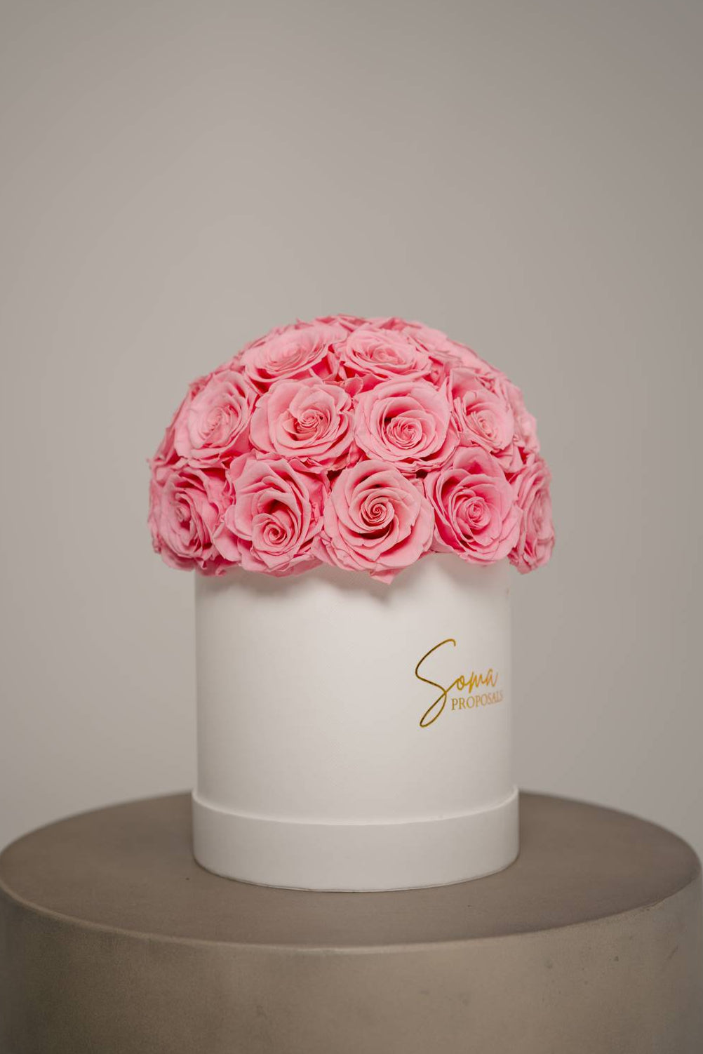 Signature Preserved Roses - Pink